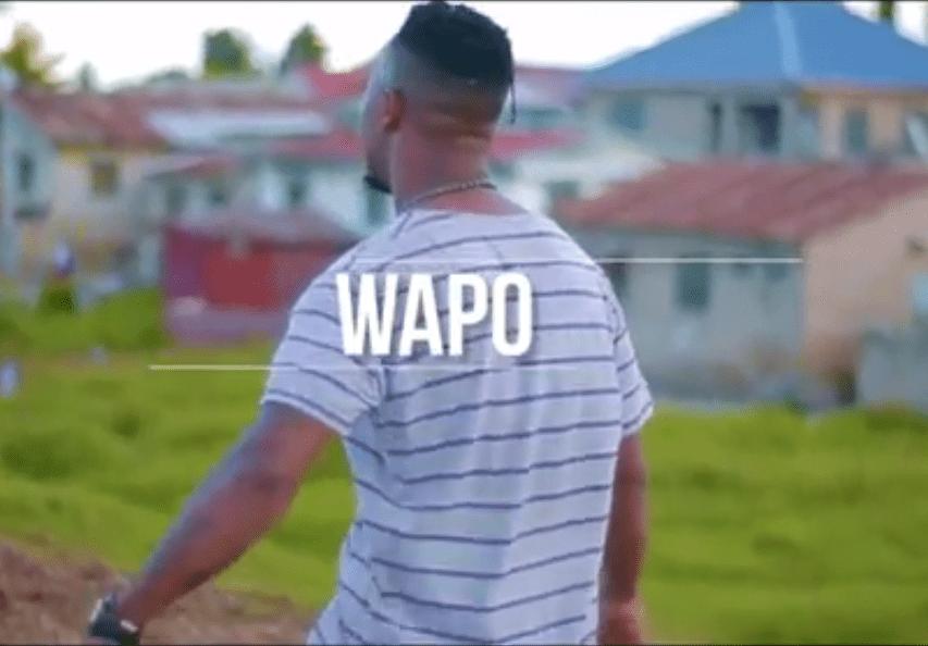 Download Video Mp4 | Nay Wa Mitego - WAPO