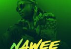 Download Audio Mp3 | Galatone – Nawee