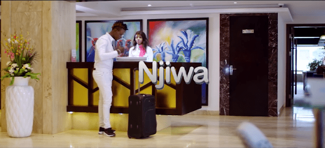 Download Video | Nandy Ft. Willy Paul - Njiwa