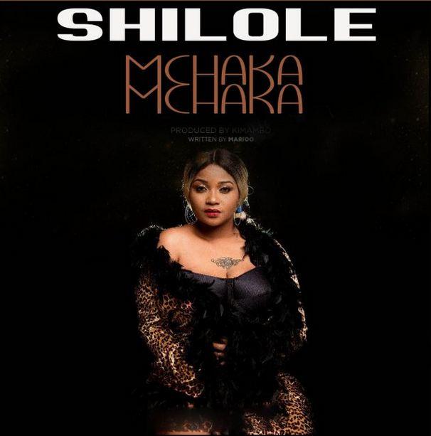 AUDIO | Shilole - Mchaka Mchaka | Mp3 DOWNLOAD