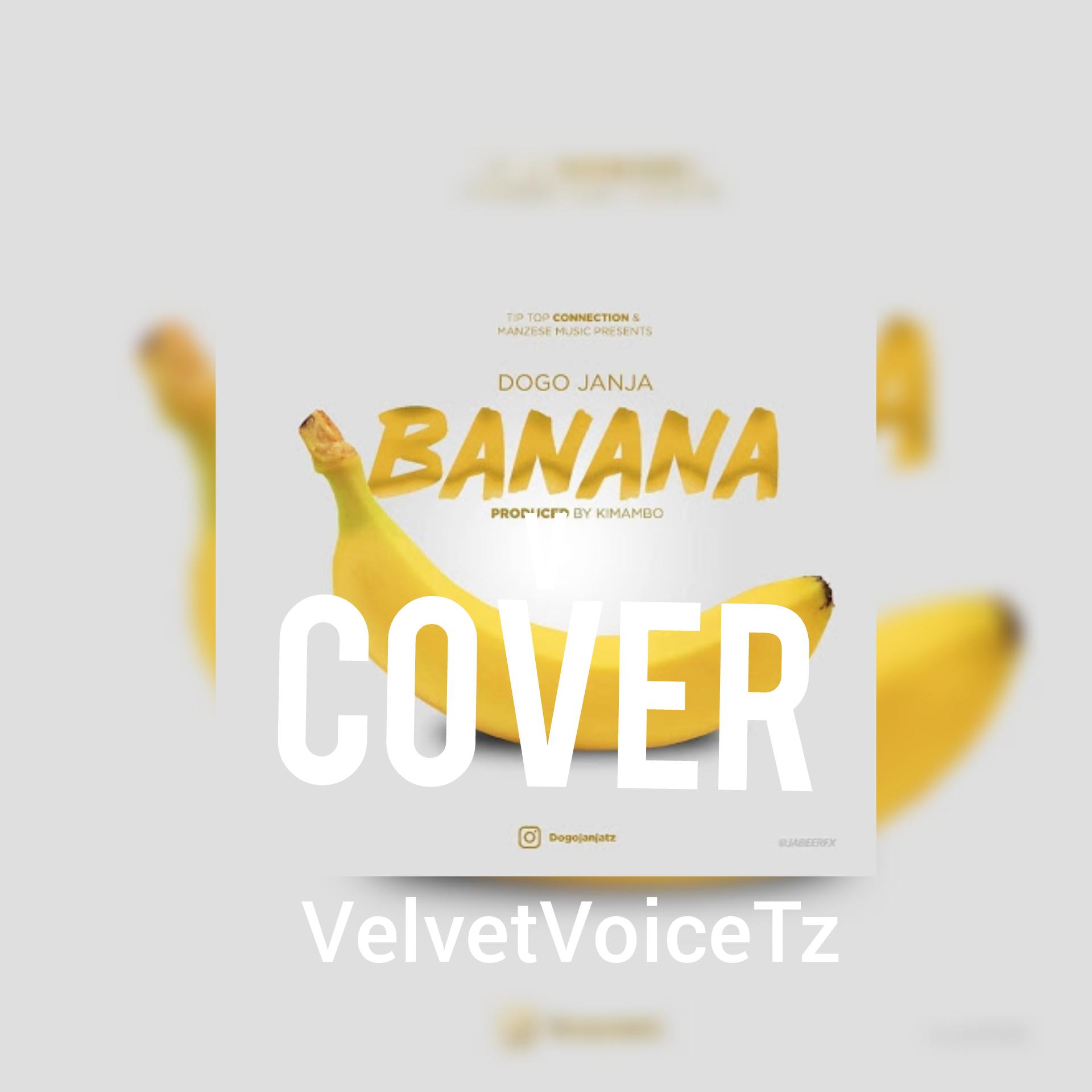 AUDIO | Dogo Janja - Banana(covered by VelvetVoiceTz) | Mp3 DOWNLOAD