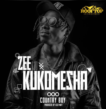 New AUDIO | Country Boy - Zee La Kukomesha | DOWNLOAD