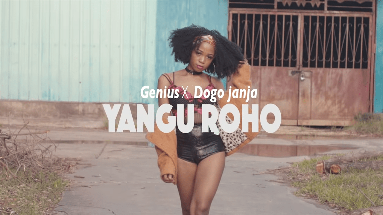 Video | Genius ft Dogo Janja - Yangu Roho | Download