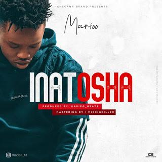 Audio : Marioo - Inatosha | Download