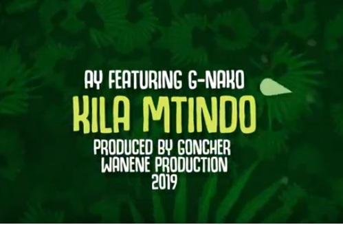 Audio | AY Ft G Nako - Kila Mtindo | Mp3 Download