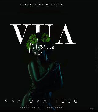 Audio | Nay Wa Mitego - Vua Nguo | Mp3 Download