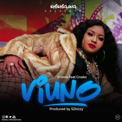 Audio | Shilole Ft. G Nako - Viuno | Mp3 Download