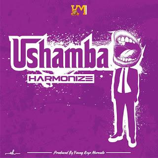 AUDIO : Harmonize - USHAMBA || Download Mp3