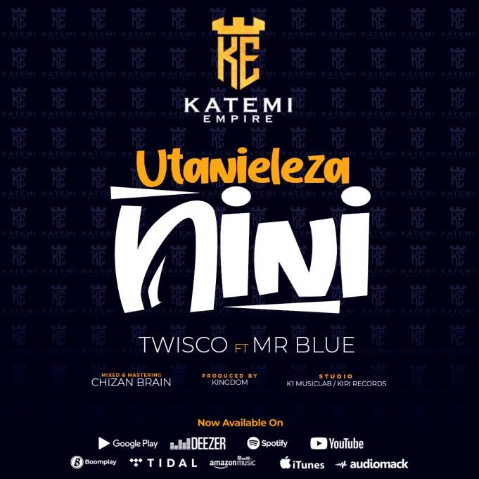 AUDIO : Mr.Blue Ft. Twisco – Utanieleza nini | Download