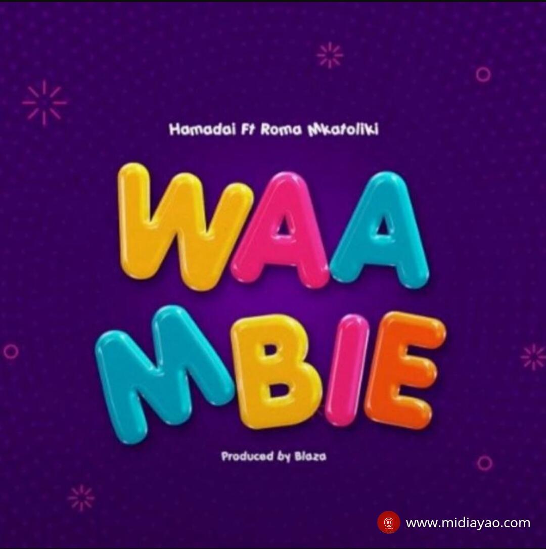 Audio : Hamadai Ft. Roma Mkatoliki – Waambie | Download