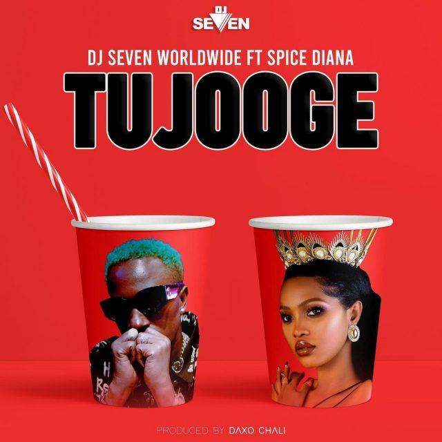 AUDIO | Dj Seven Worldwide Ft Spice Diana - Tujooge (Amapiano) | Mp3 DOWNLOAD