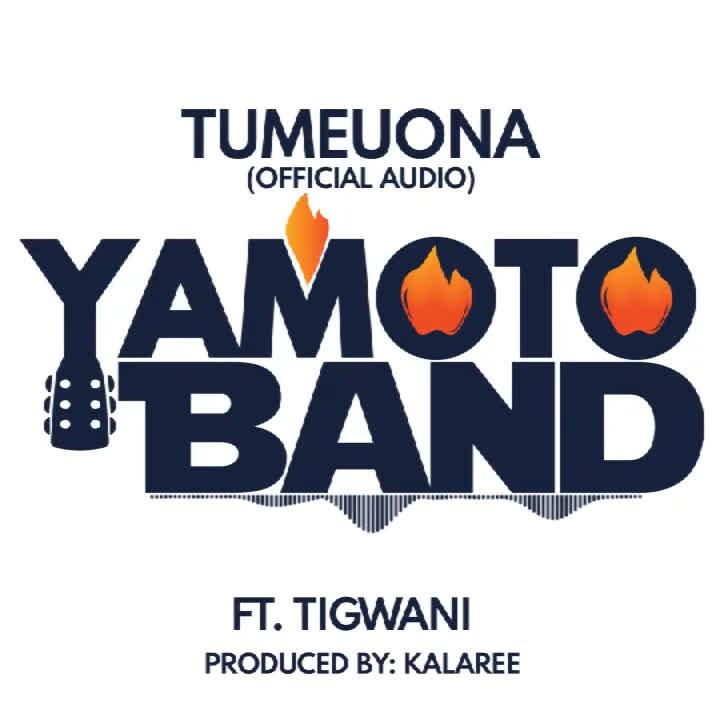 AUDIO | Yamoto Band – TUMEUONA | Download Mp3