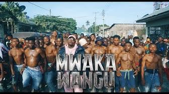 VIDEO | HARMONIZE - MWAKA WANGU | DOWNLOAD MP4