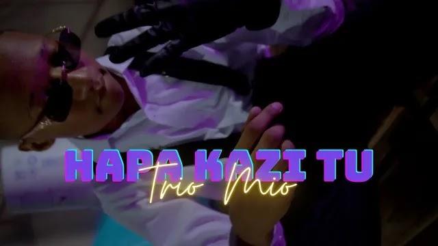 Download Video Mp4 | Trio Mio – Hapa Kazi Tu