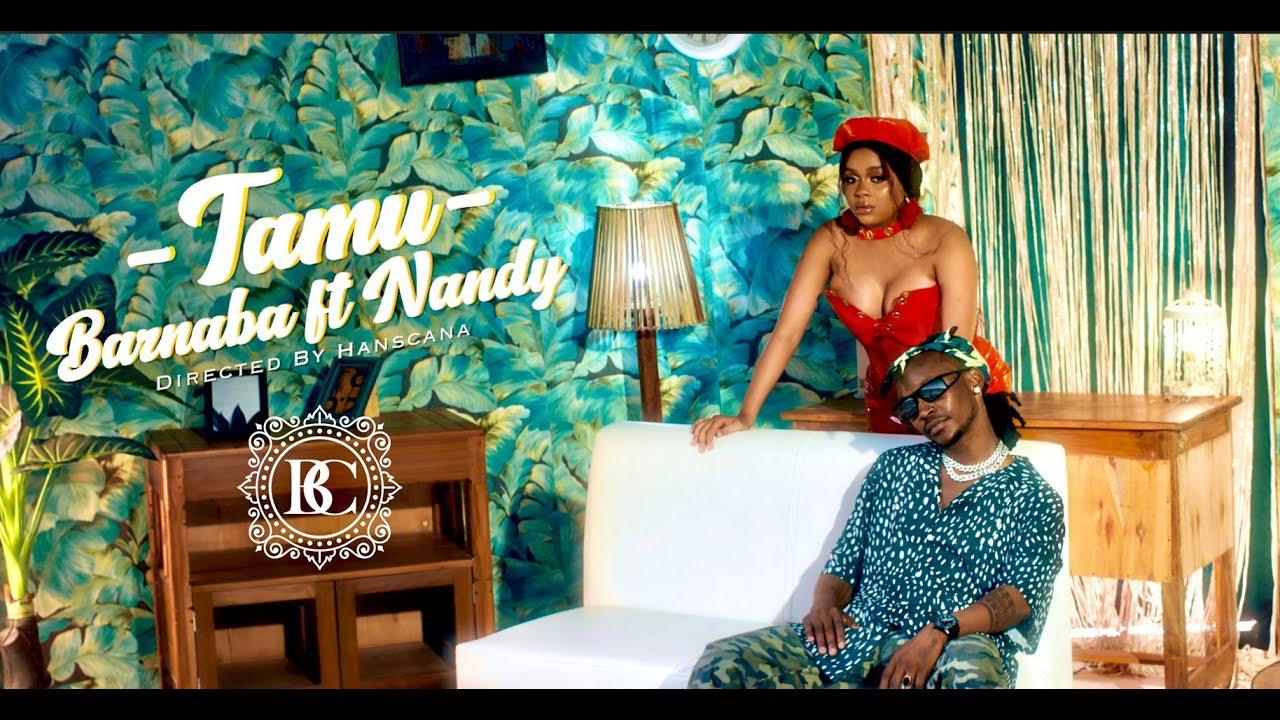 Download Video mp4 | Barnaba ft. Nandy - Tamu