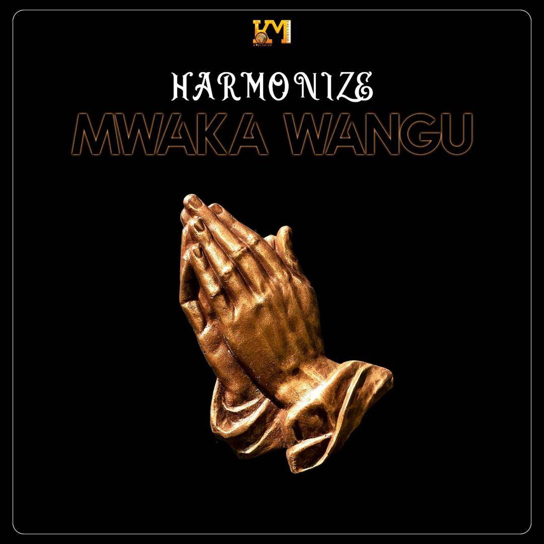 AUDIO | HARMONIZE - MWAKA WANGU | DOWNLOAD MP3