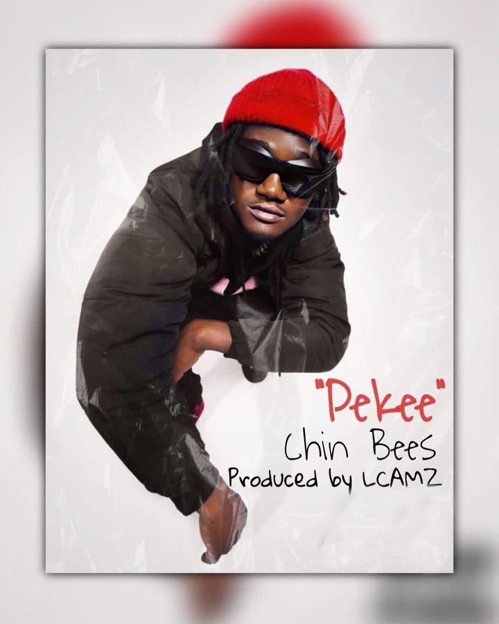 Download Audio Mp3 | Chin Bees – Pekee