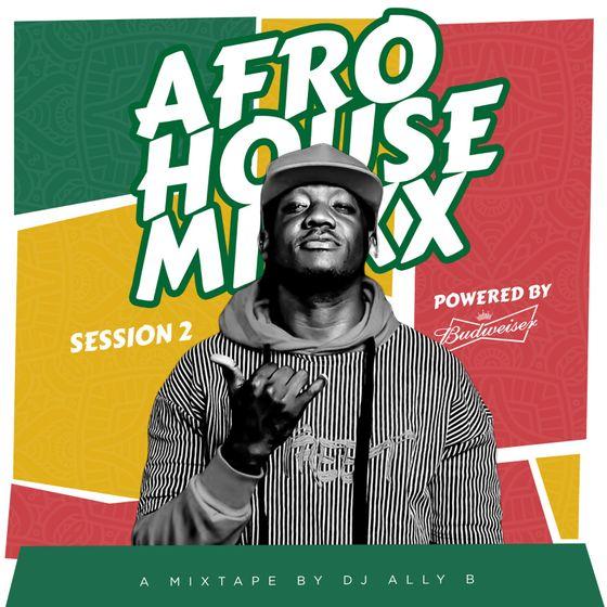 Download Audio Mp3 | Dj Ally B AFRO HOUSE MIX {Amapiano}