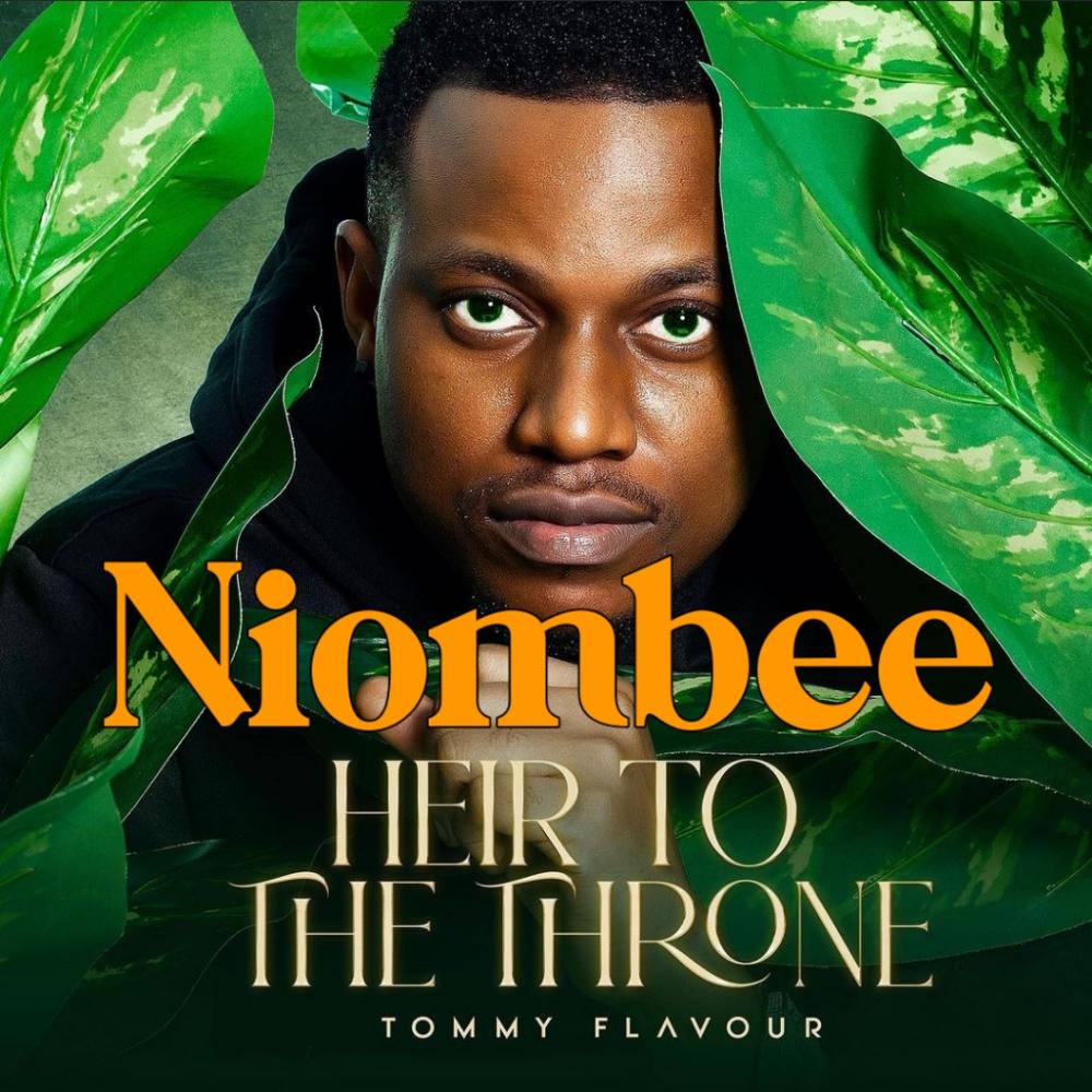 Download Audio Mp3 | Tommy Flavour - Niombee