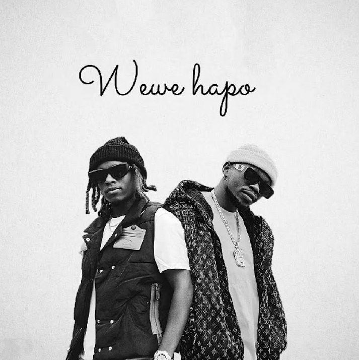 Download Audio Mp3 | Lony Bway x Marioo – Wewe Hapoo