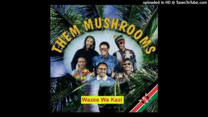 Download Audio Mp3 | Them Mushrooms -Tuombe Mola