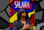 Download Audio Mp3 | MwanaFA - Salaam