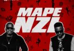 Download Audio Mp3 | Seneta Ft. G Nako – Mapenzi