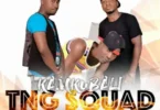 Download Audio Mp3 | TNG Squad - Bongo Dot com