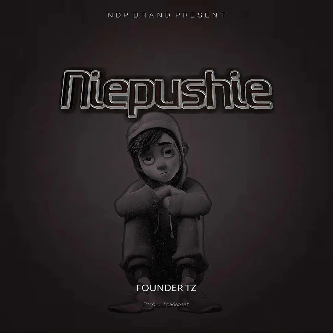 Download Audio Mp3 | Founder Tz – Niepushie