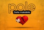 Download Audio Mp3 | Misso Misondo Ft. Likopa – Pole Dulla Makabila
