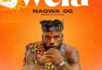 Download Audio Mp3 | Ngoma Nagwa – Wela