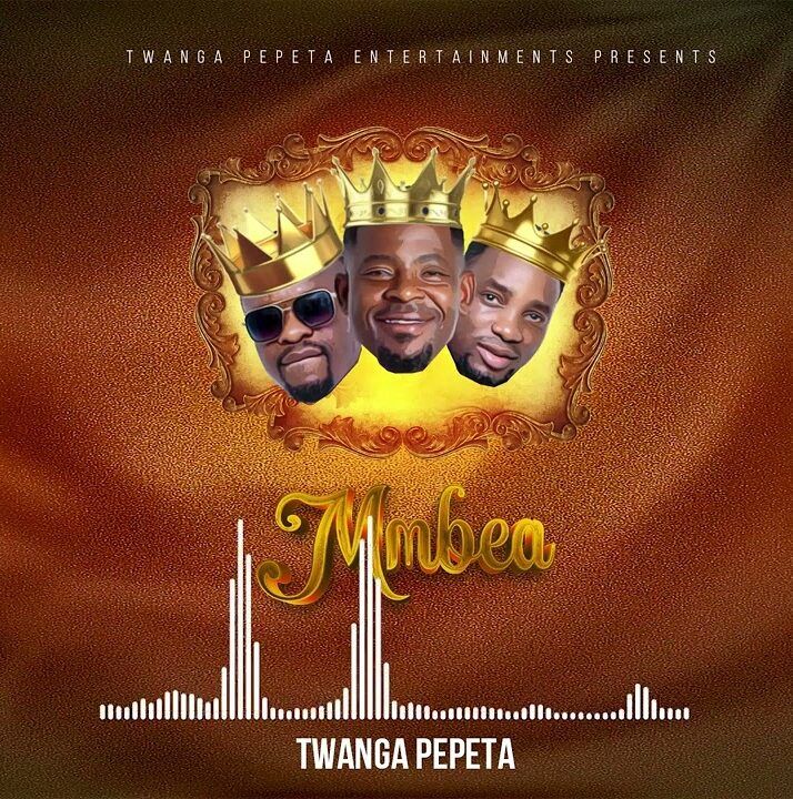 Download Audio Mp3 | Twanga Pepeta – Mmbea