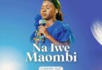 Download Audio Mp3 | Evelyn Wanjiru – Na Iwe Maombi