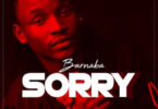 Download Audio Mp3 | Barnaba – Sorry