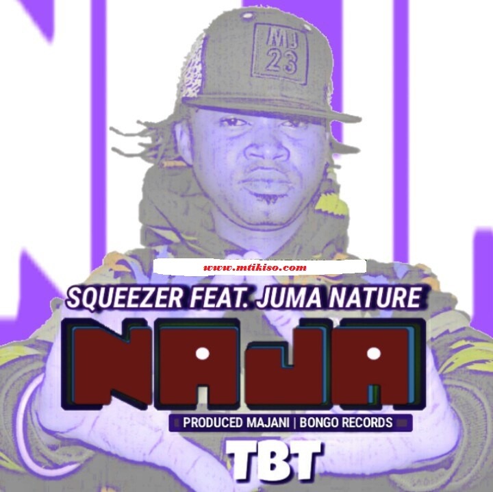 Download Audio Mp3 | Squizer Ft Juma Nature – Naja