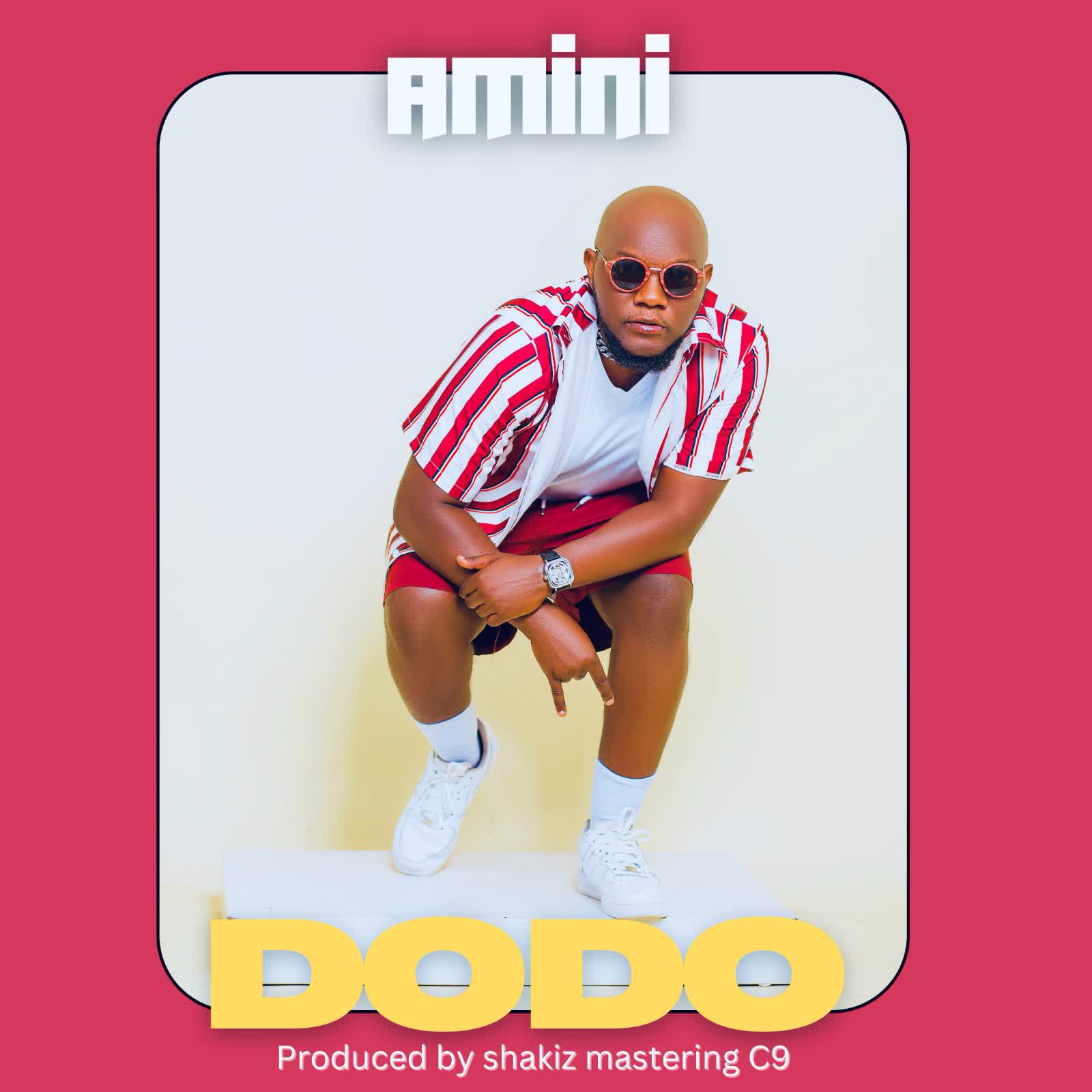 Download Audio Mp3 | Amini – Dodo