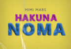 Download Audio Mp3 | Mimi Mars – Hakuna Noma