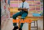 Download Audio Mp3 | Founder TZ – Mfano