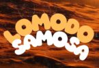 Lomodo – Samosa