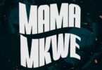 Yamoto Band Ft. Barnaba – Mama Mkwe