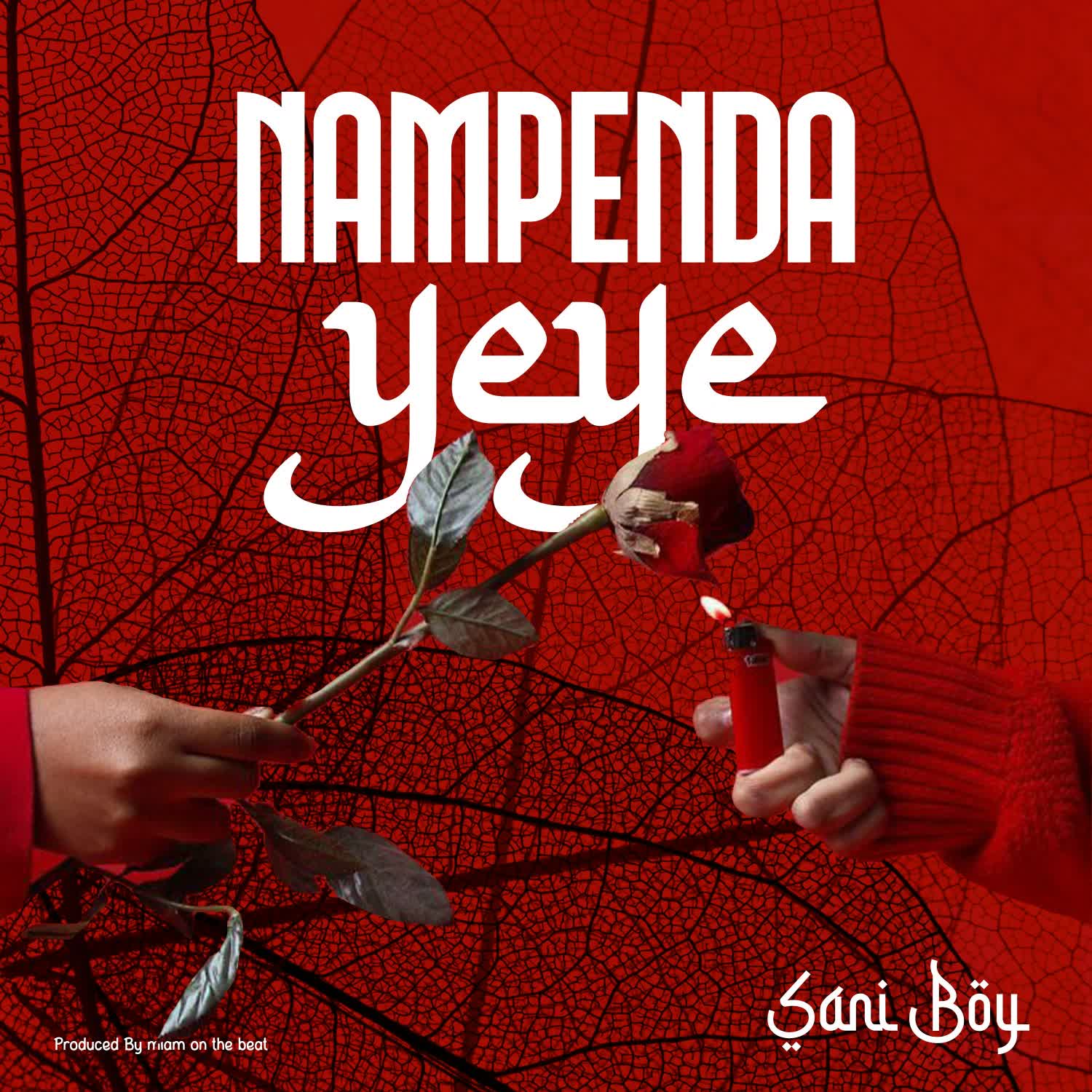 Download Audio Mp3 | Sani Boy – Nampenda Yeye