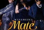 Audio Mp3 | Luludiva Ft. Mabantu – Wanamezea Mate | Download