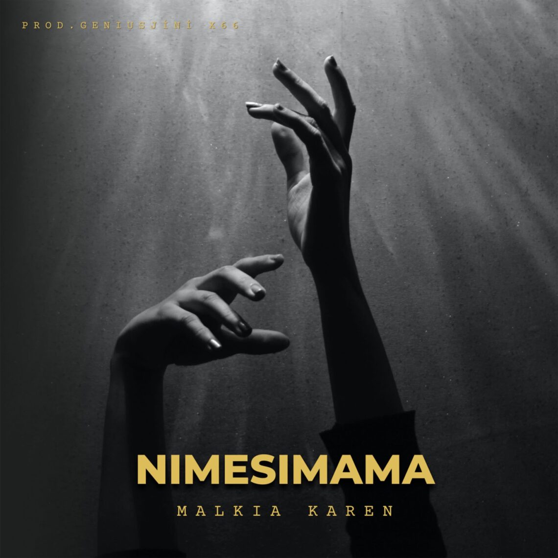 Download Audio Mp3 | Malkia Karen – Nimesimama