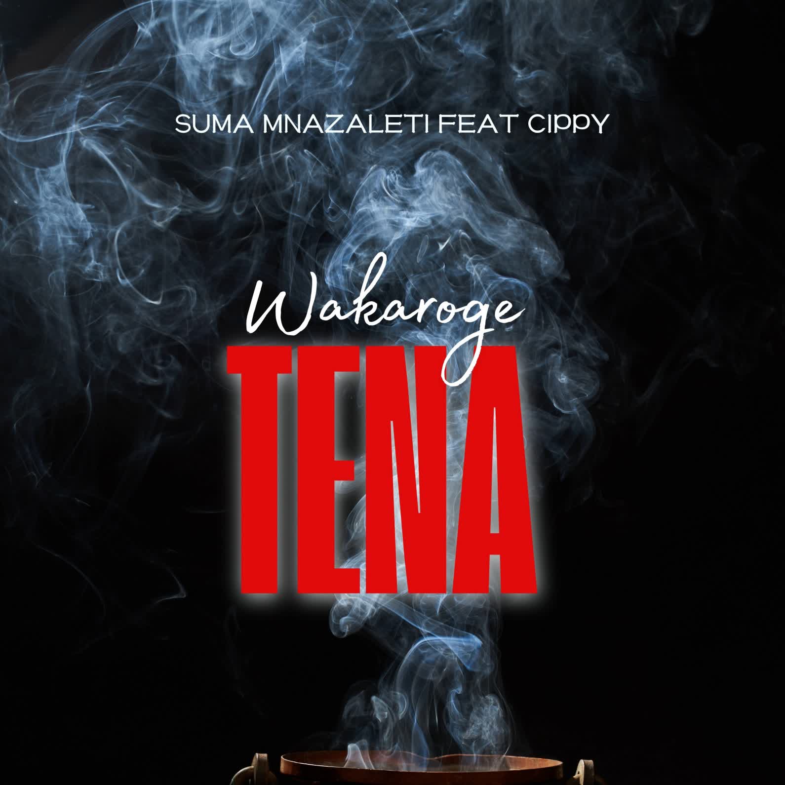 Audio Mp3 | Suma Mnazaleti Ft. Cippy – Wakaroge Tena | Download