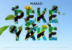 Download Audio Mp3 | Wakazi – Peke Yake