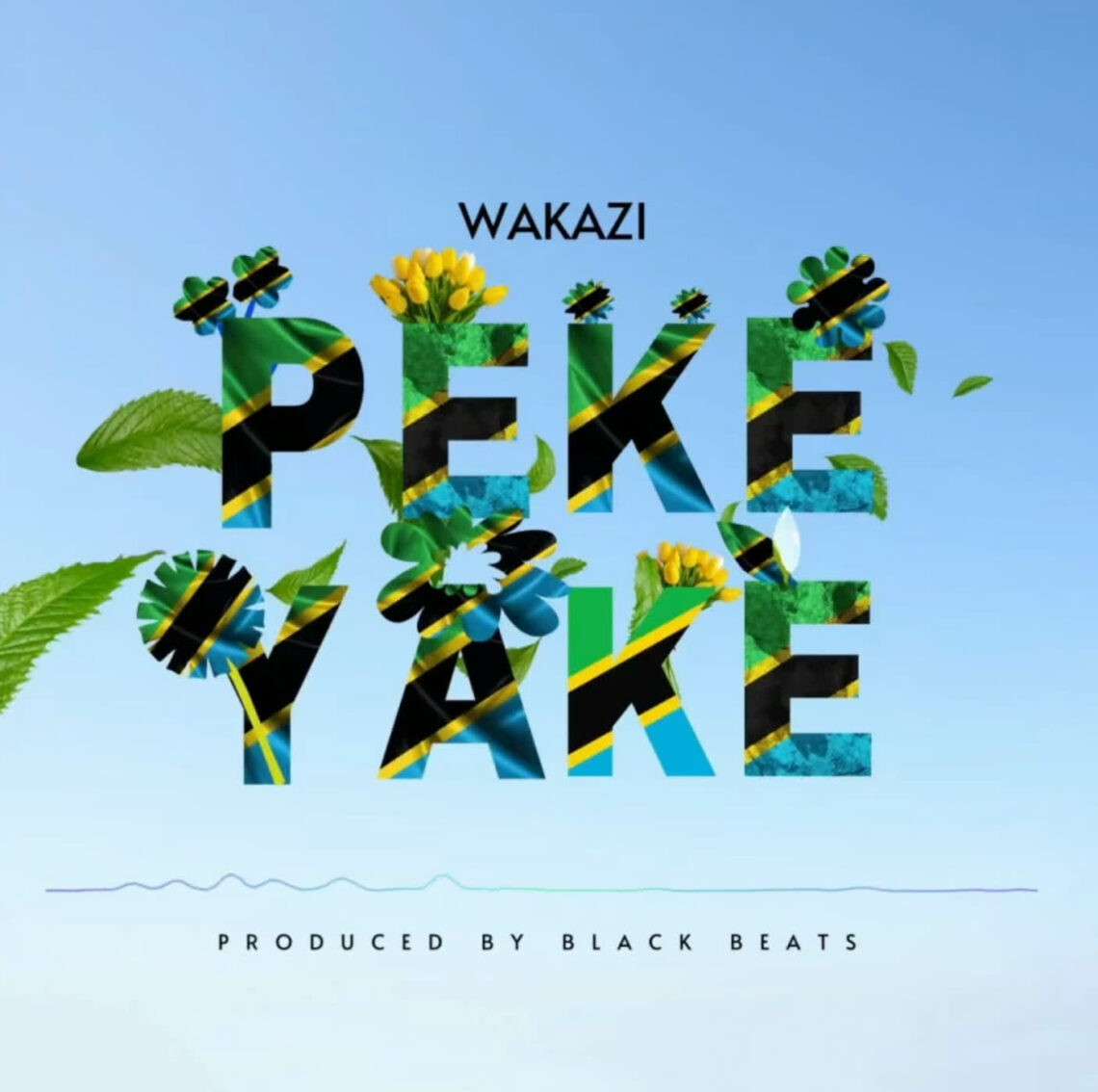 Download Audio Mp3 | Wakazi – Peke Yake