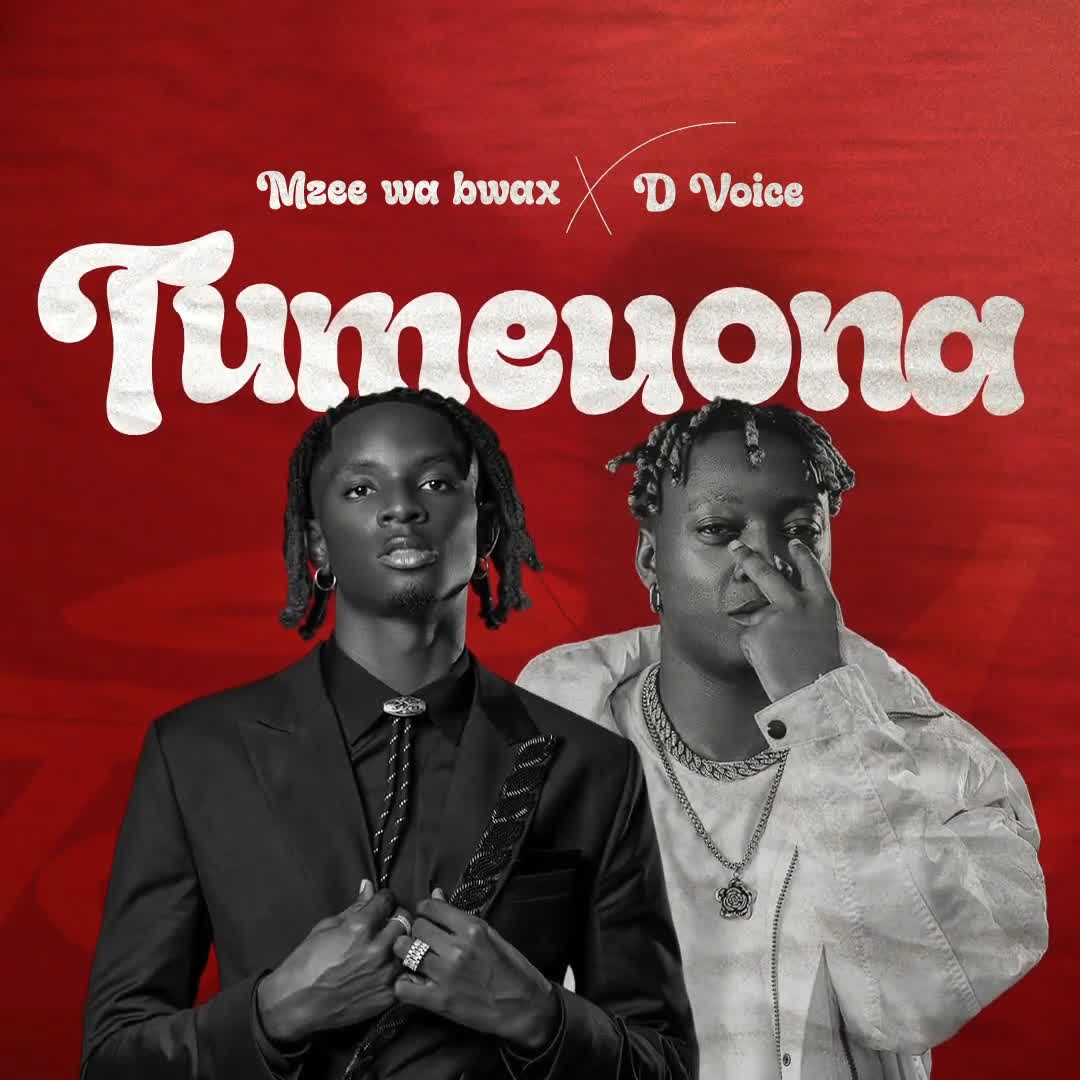 Download Audio Mp3 | Mzee Wa Bwax Ft D Voice – Tumeuona