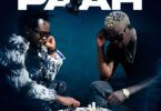 Bahati Ft Willy Paul – Paah